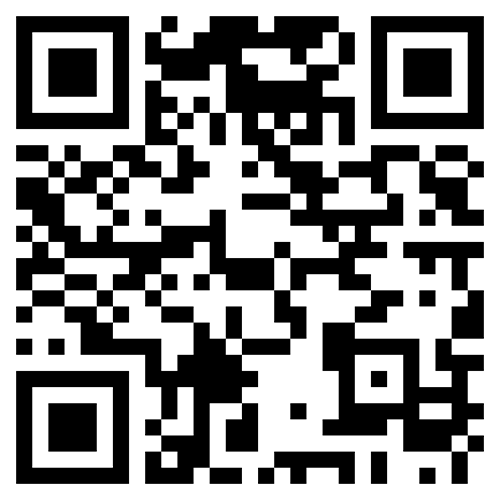 Qr Code Rug Floral Wool Mashad Persian Area Rug 9x12